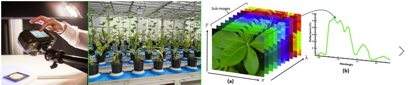 高光譜成像技術(shù)植物監(jiān)測中的優(yōu)勢